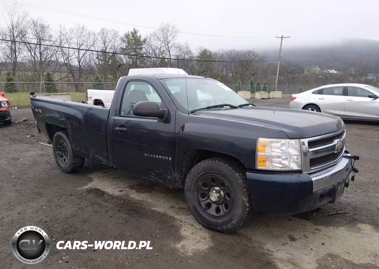 2008 Chevrolet Silverado 1500 Work Truck