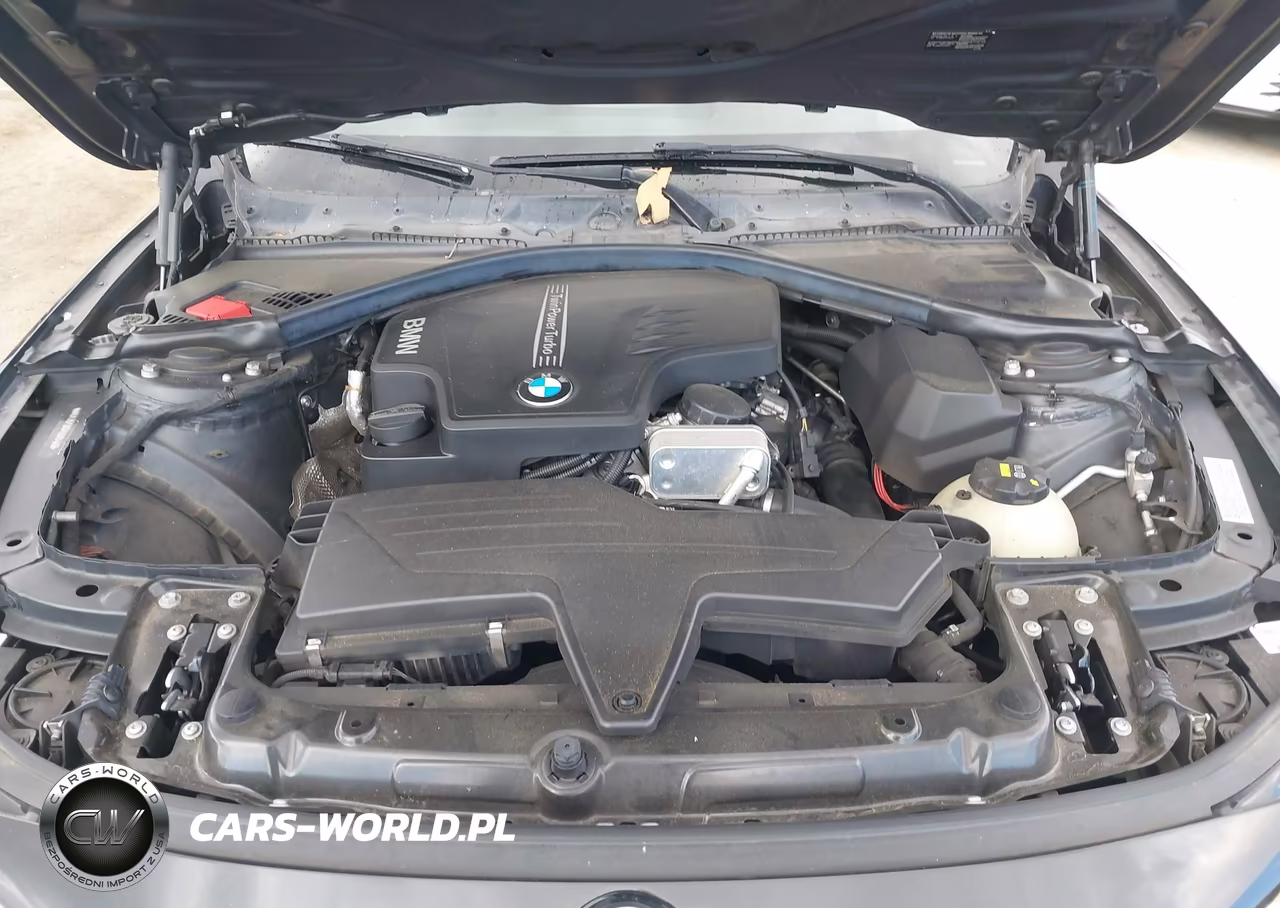 2015 BMW 428I VIN:WBA3N7C56FK223460 - 10