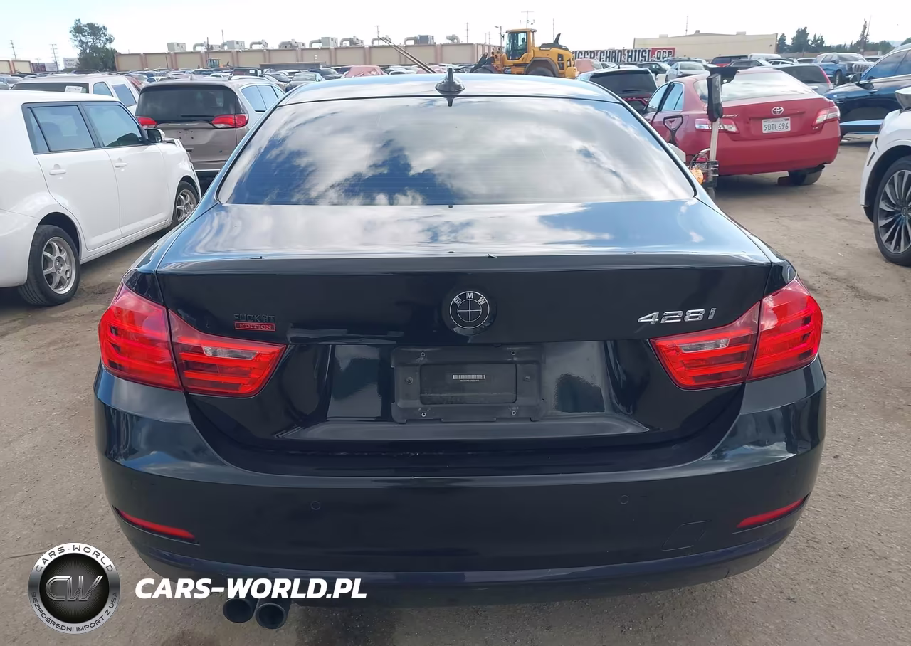 2015 BMW 428I VIN:WBA3N7C56FK223460 - 17