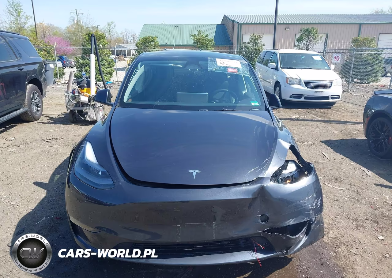 2024 Tesla Model Y Long Range Dual Motor All-Wheel Drive VIN:7SAYGAEEXRF020217 - 12