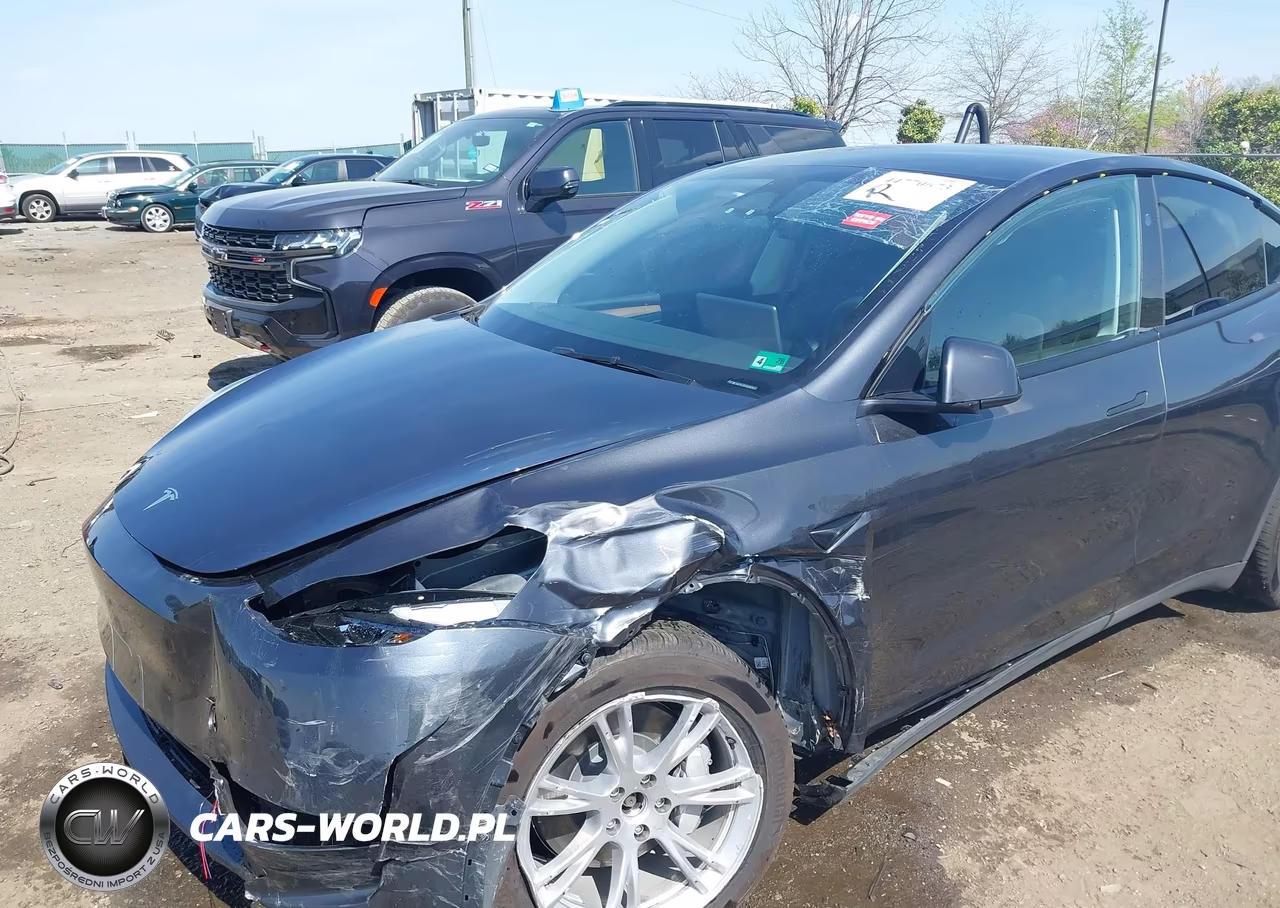 2024 Tesla Model Y Long Range Dual Motor All-Wheel Drive VIN:7SAYGAEEXRF020217 - 6