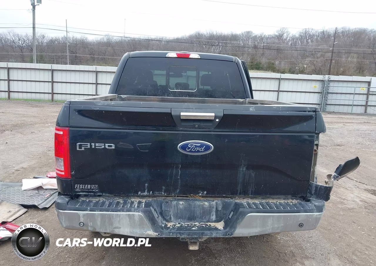 2016 Ford F-150 Xlt VIN:1FTEW1EP7GKF67269 - 17