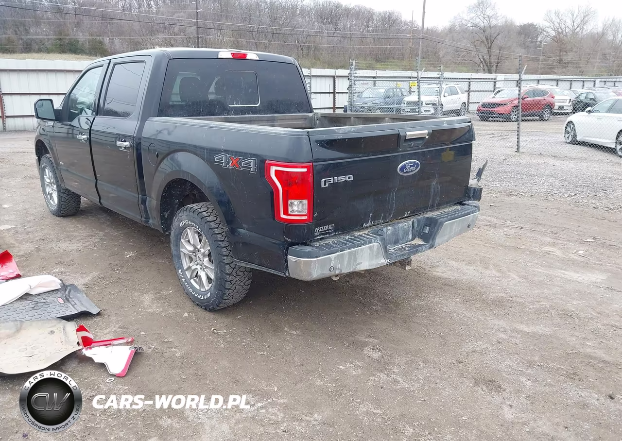 2016 Ford F-150 Xlt VIN:1FTEW1EP7GKF67269 - 3