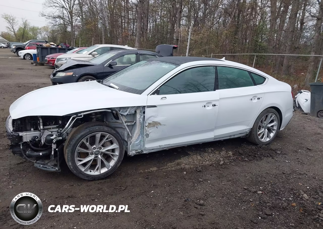 2020 Audi A5 Sportback Premium 45 Tfsi Quattro S Tronic VIN:WAUANCF59LA003761 - 14
