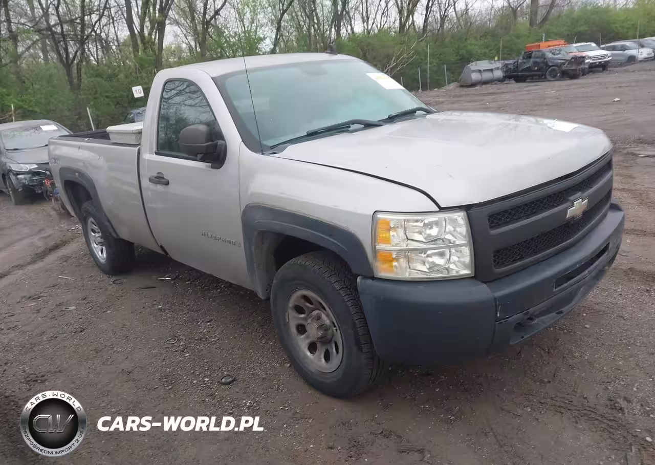 2009 Chevrolet Silverado 1500 Work Truck