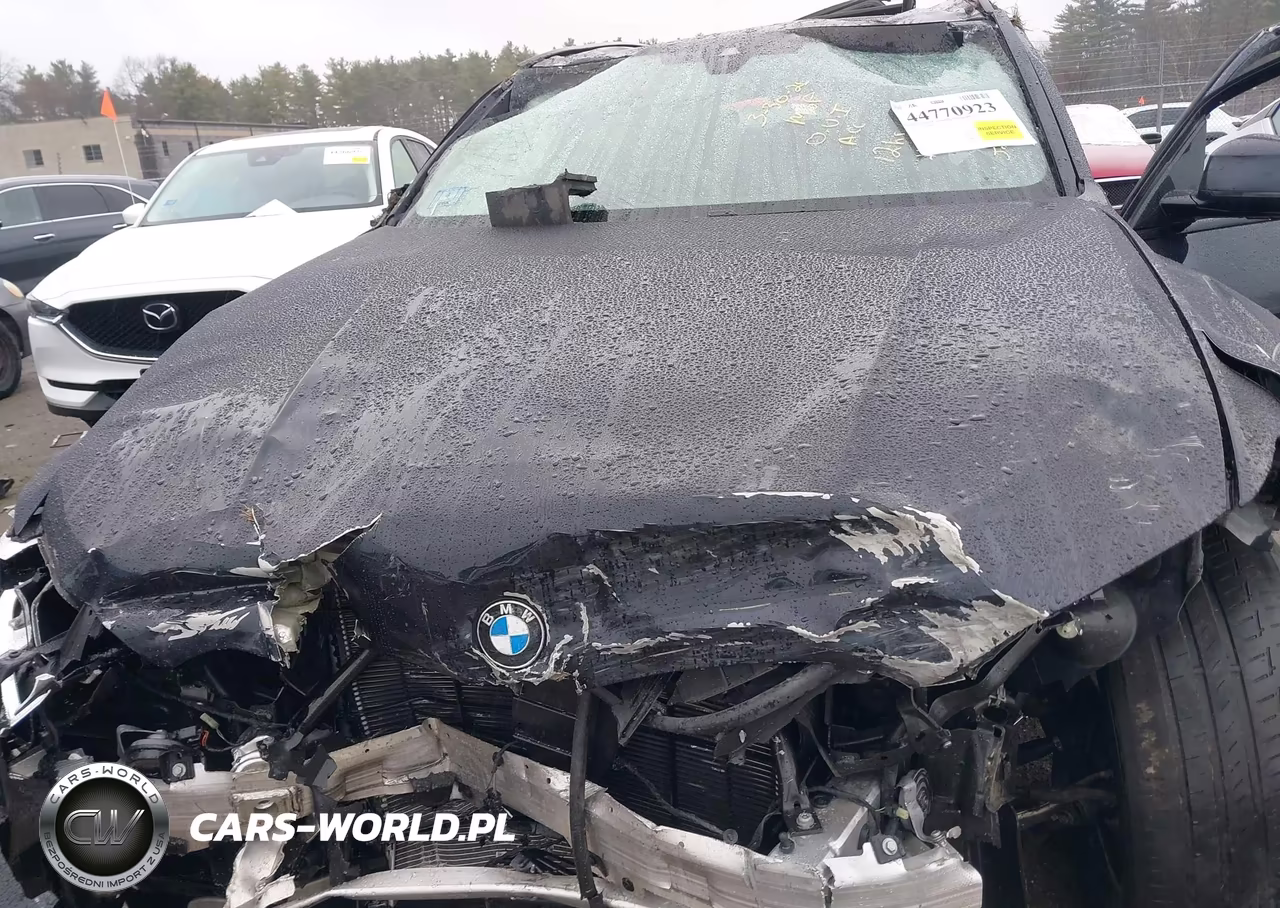 2021 BMW X5 M50I VIN:5UXJU4C06M9G54788 - 10