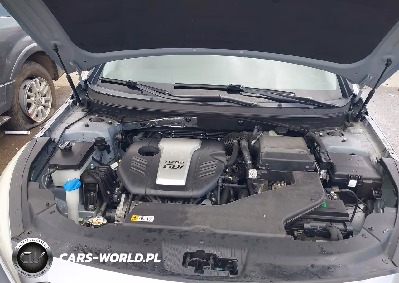 2015 Hyundai Sonata Eco VIN:5NPE24AA8FH191886 - 10