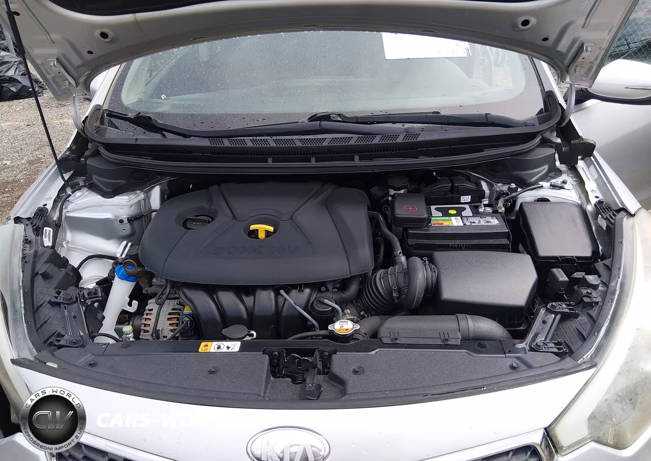 2014 Kia Forte Lx VIN:KNAFX4A67E5060221 - 10