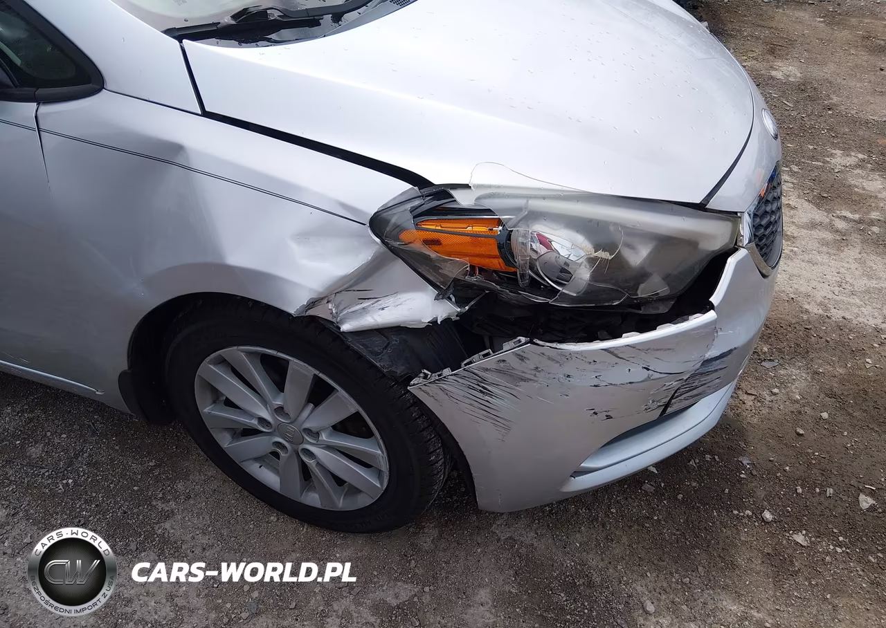 2014 Kia Forte Lx VIN:KNAFX4A67E5060221 - 13