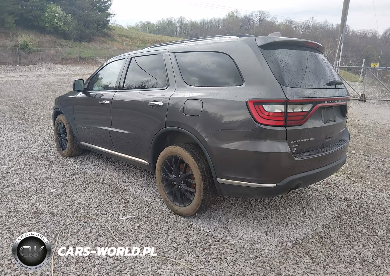 2014 Dodge Durango Citadel VIN:1C4RDJEG4EC351779 - 3