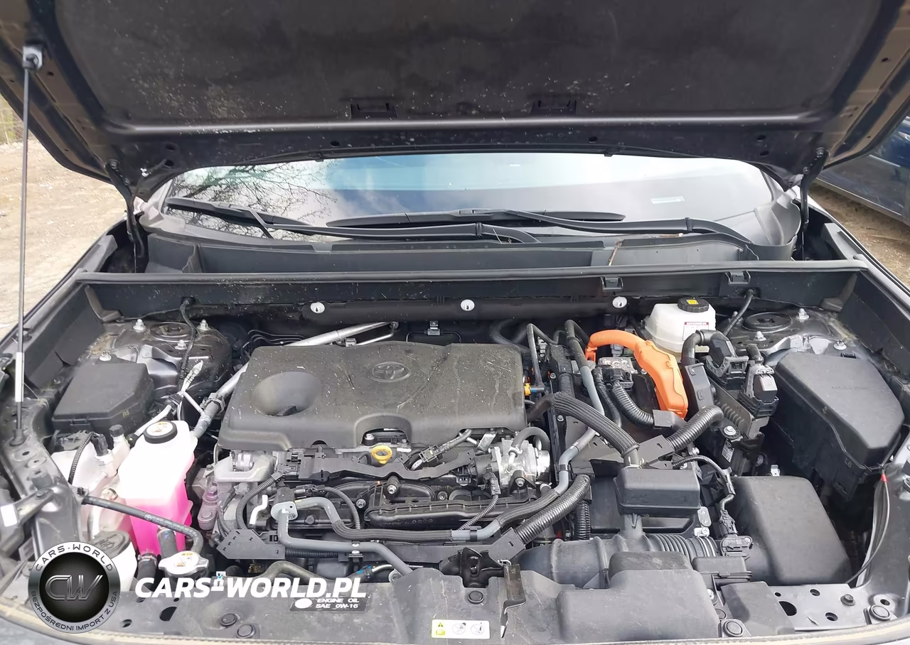 2023 Toyota Rav4 Hybrid Xle VIN:4T3RWRFV8PU095216 - 10