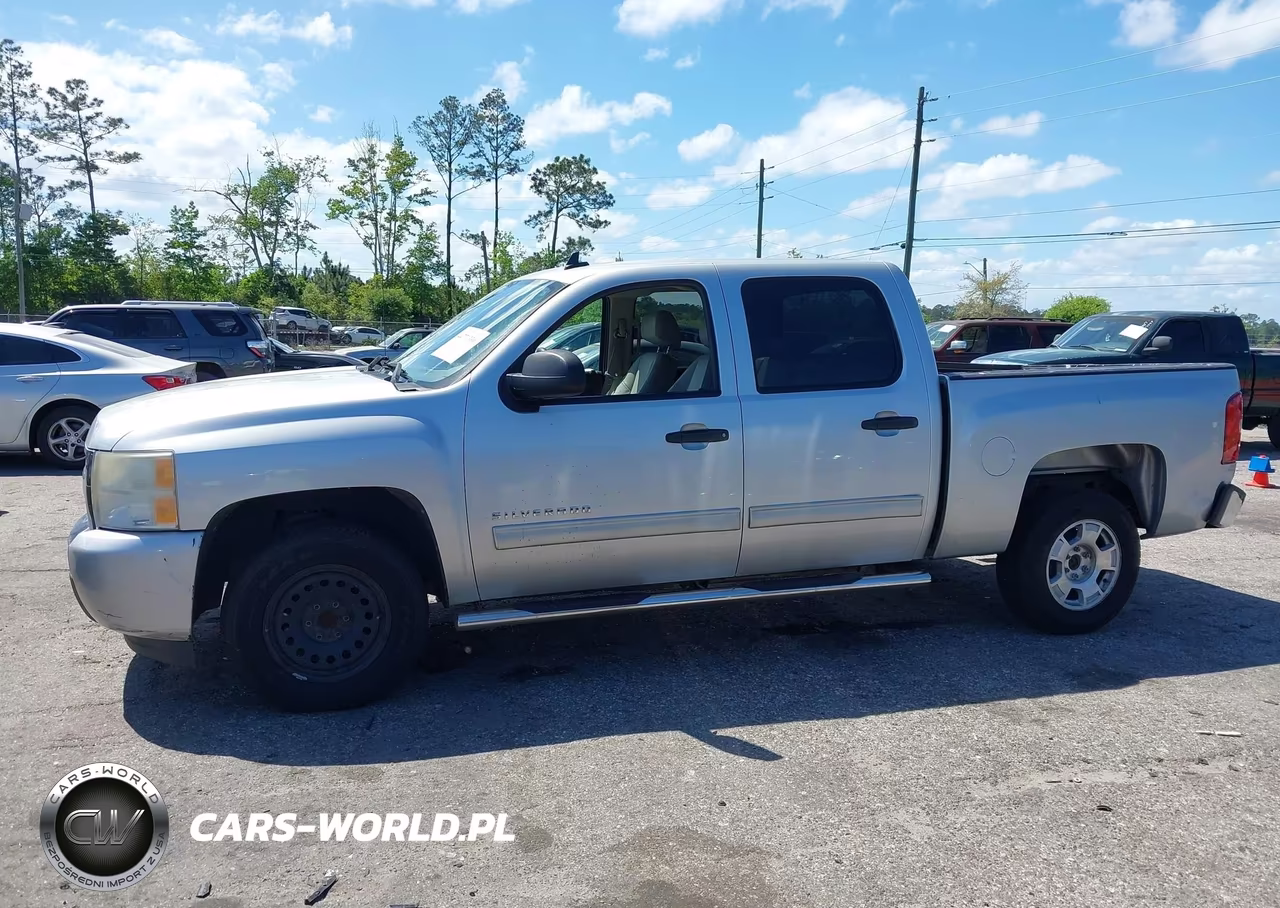 2010 Chevrolet Silverado 1500 Lt VIN:3GCRCSE00AG174831 - 14