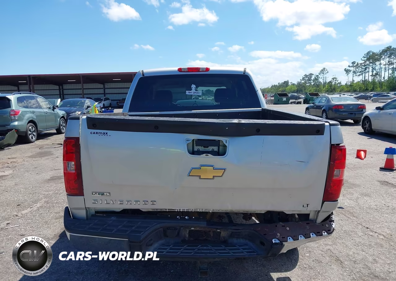 2010 Chevrolet Silverado 1500 Lt VIN:3GCRCSE00AG174831 - 16