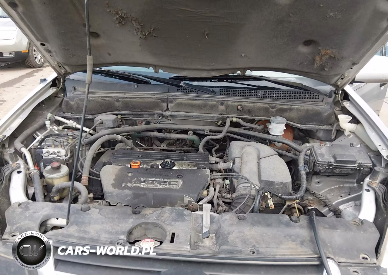 2004 Honda Cr-V Ex VIN:JHLRD78864C034045 - 10