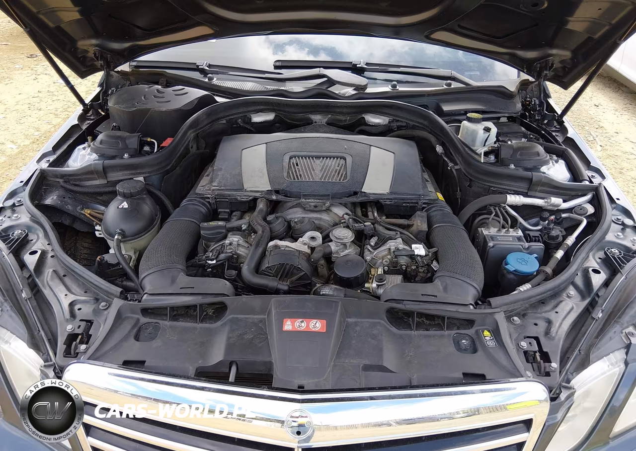 2010 Mercedes-Benz E 550 VIN:WDDHF7CB4AA017263 - 10