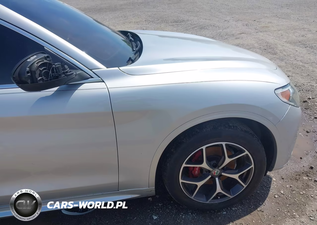 2020 Alfa Romeo Stelvio Ti Awd VIN:ZASPAKBN0L7C82661 - 19