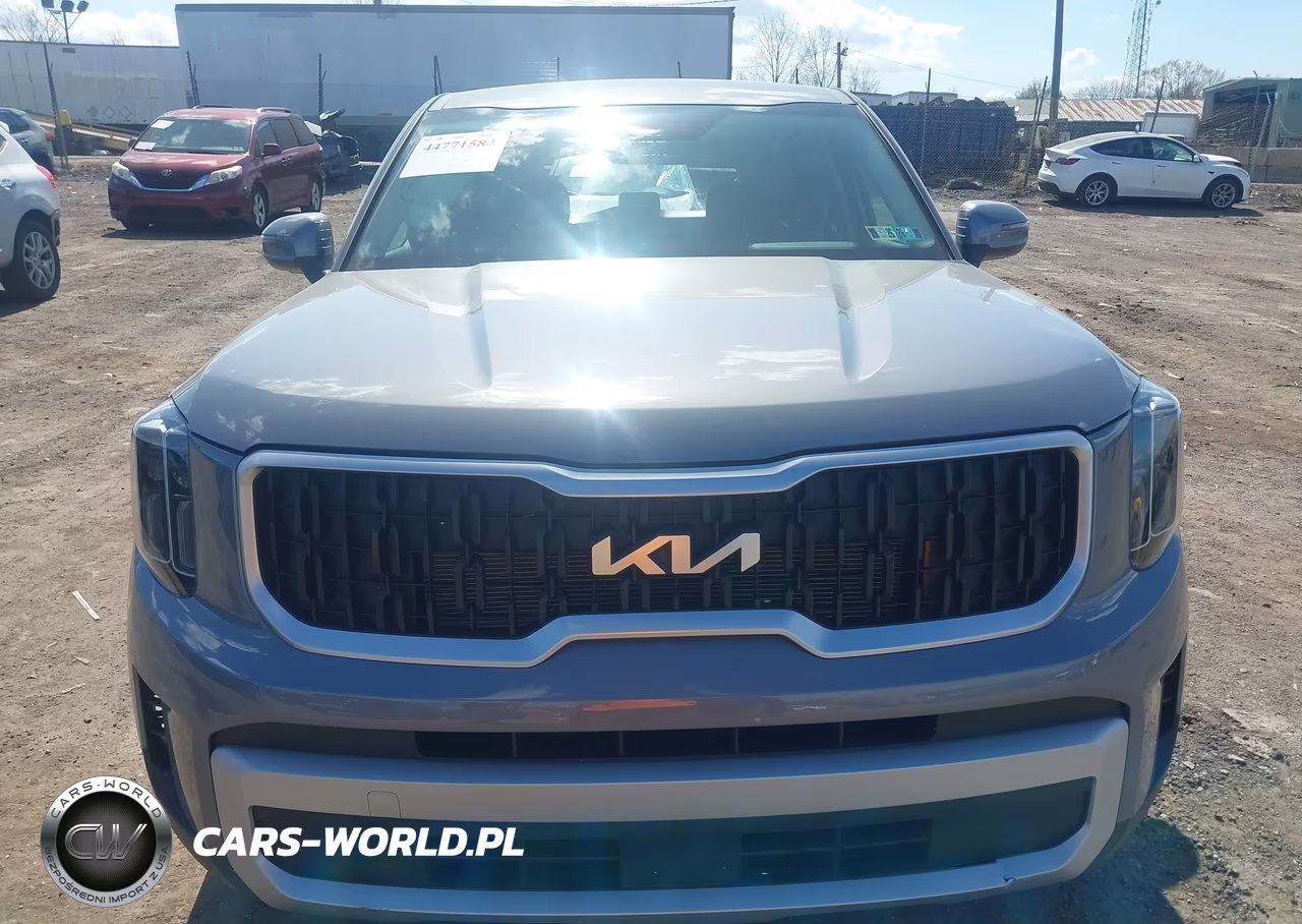 2025 Kia Telluride Lx VIN:5XYP24GC6SG705351 - 12