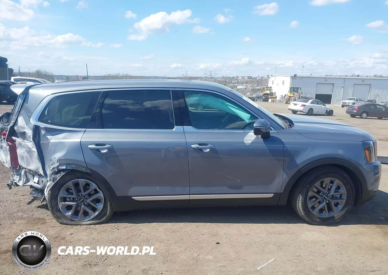2025 Kia Telluride Lx VIN:5XYP24GC6SG705351 - 13