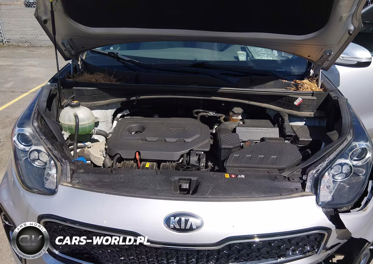 2019 Kia Sportage Ex VIN:KNDPNCAC1K7625690 - 10