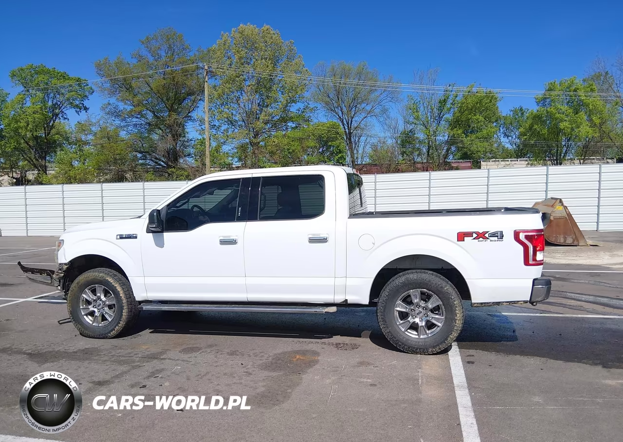 2015 Ford F-150 Xlt VIN:1FTEW1EF2FKE81020 - 16