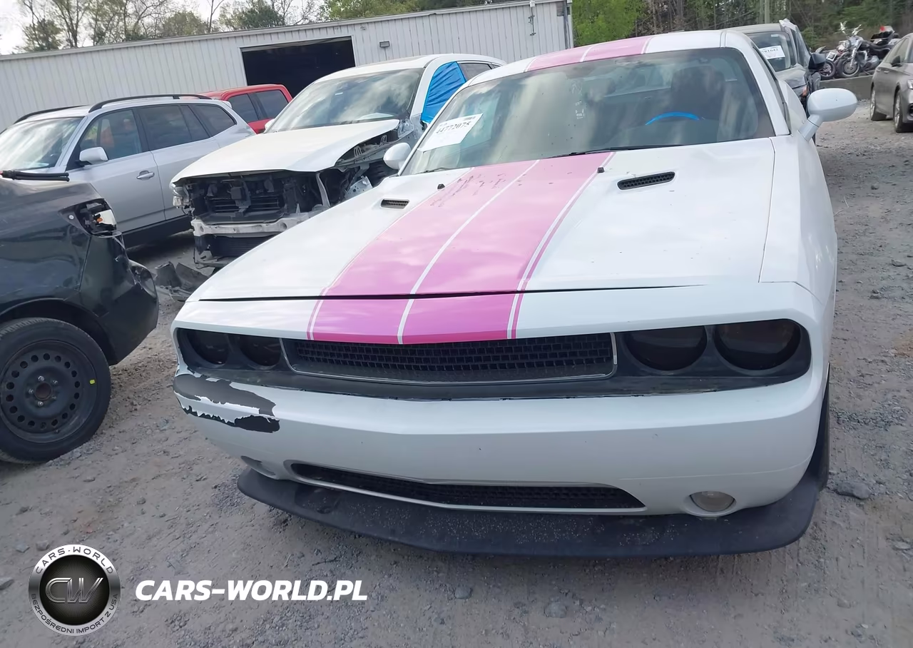 2012 Dodge Challenger Sxt VIN:2C3CDYAG7CH292486 - 12