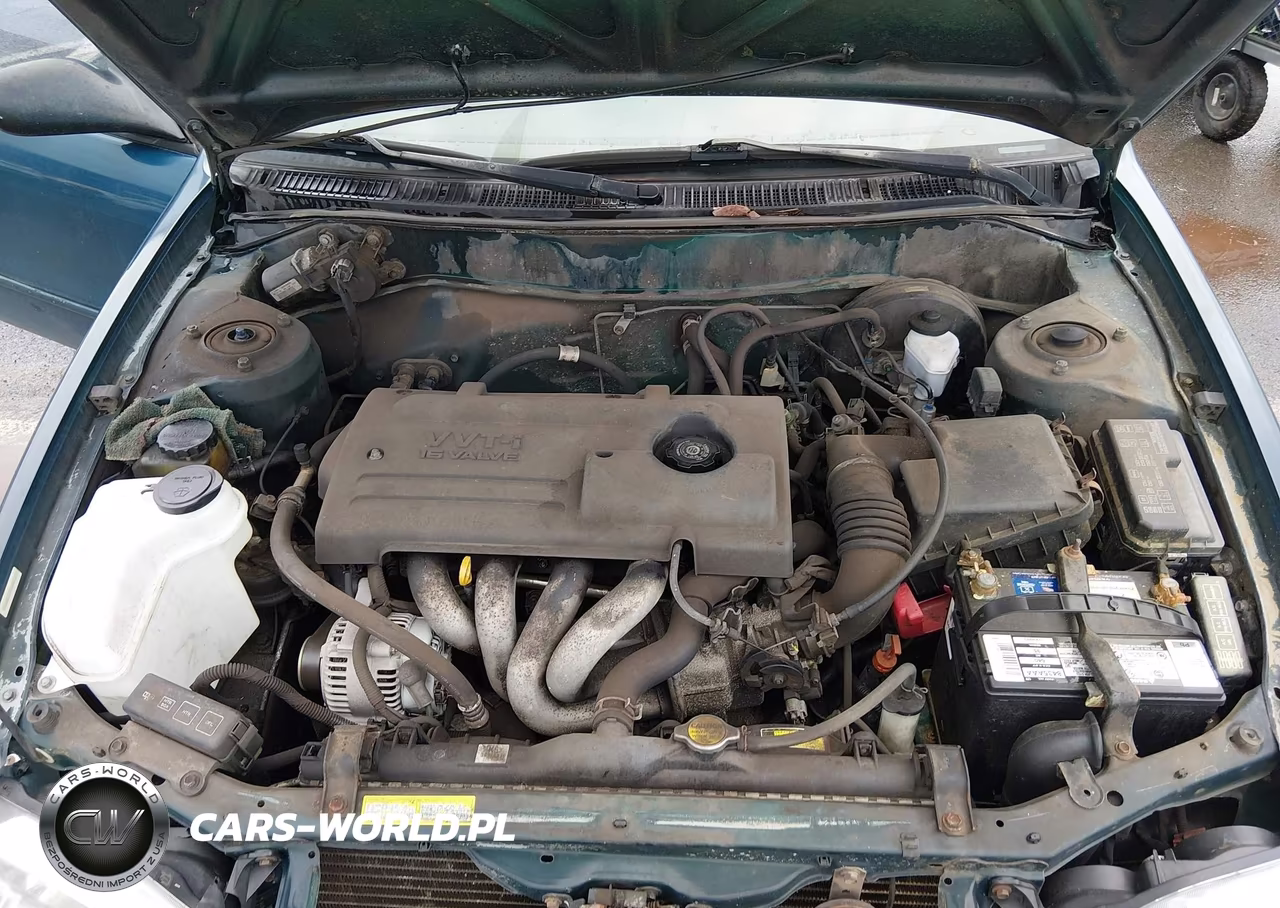 2002 Toyota Corolla Le VIN:1NXBR12EX2Z648160 - 10