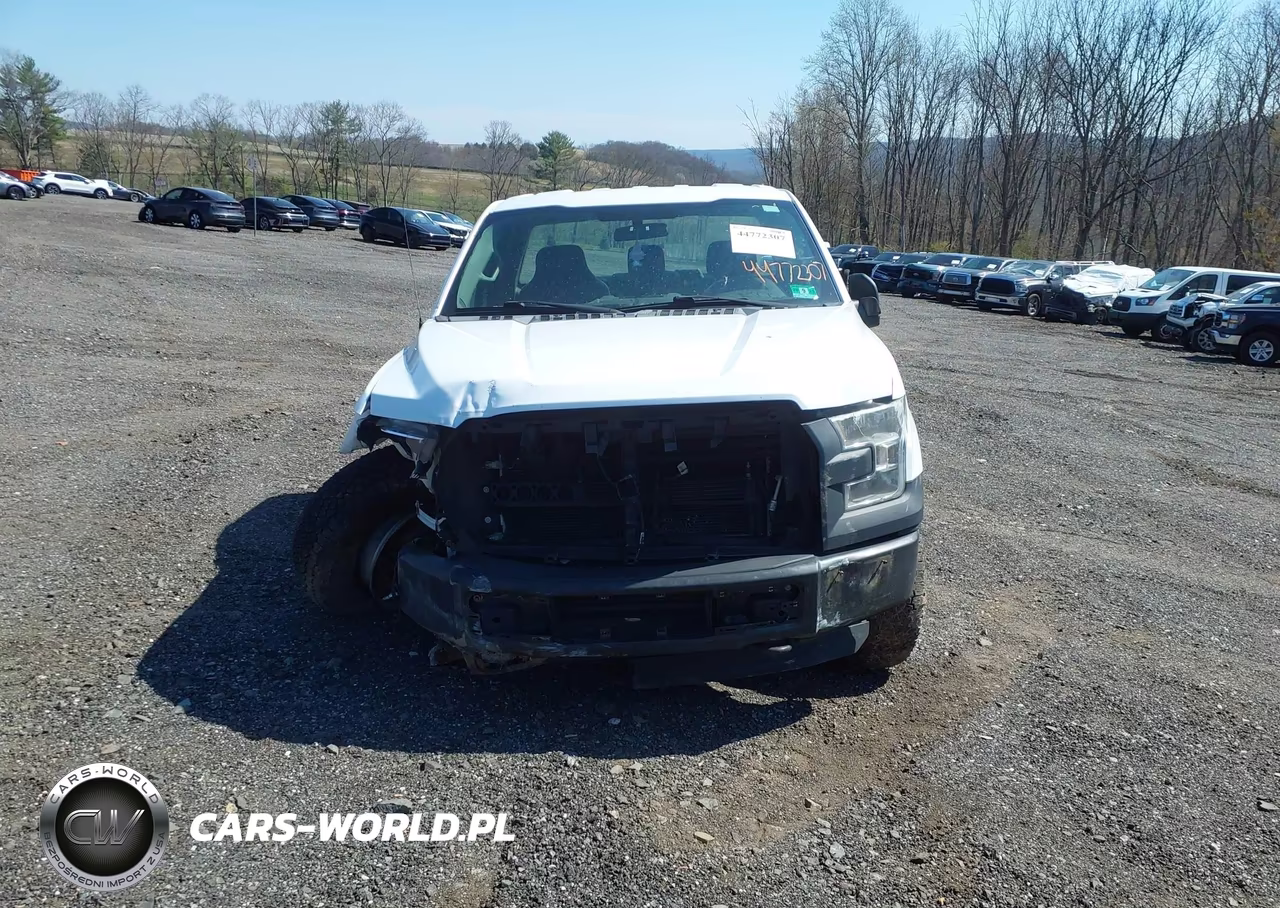 2016 Ford F-150 Xl VIN:1FTMF1EP5GKE20945 - 13