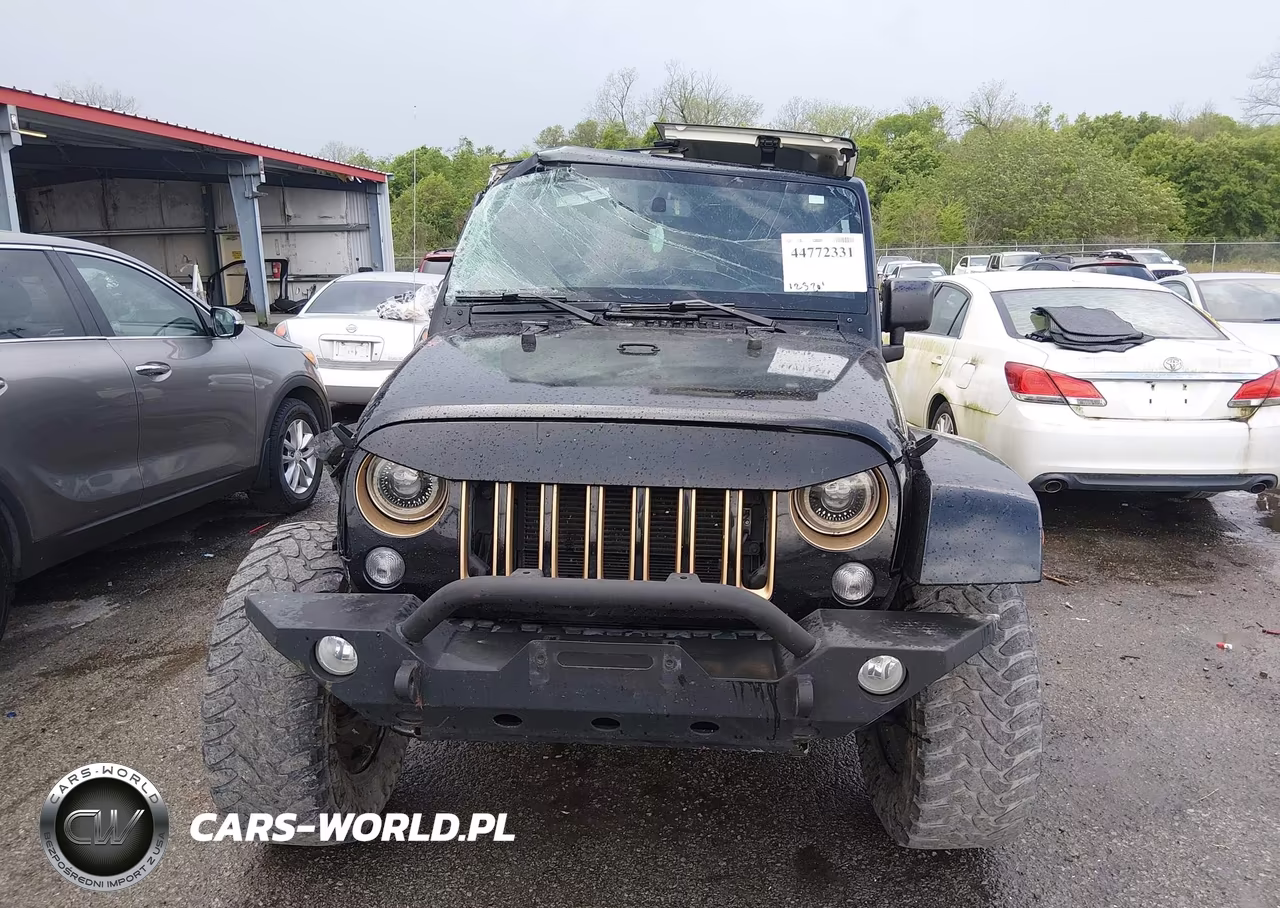2014 Jeep Wrangler Unlimited Dragon Edition VIN:1C4BJWEG4EL147460 - 12