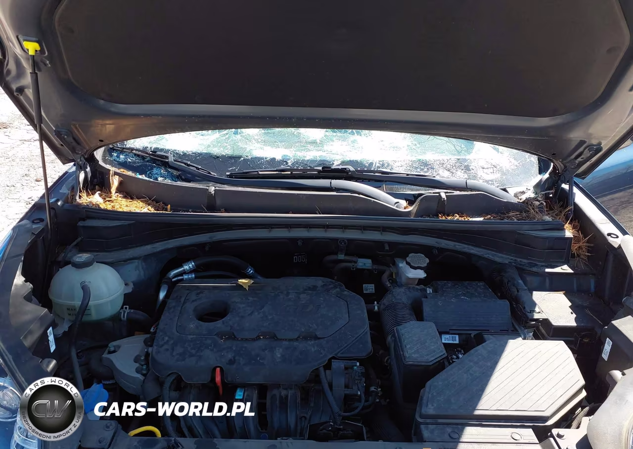 2020 Kia Sportage Lx VIN:KNDPM3AC4L7799192 - 10