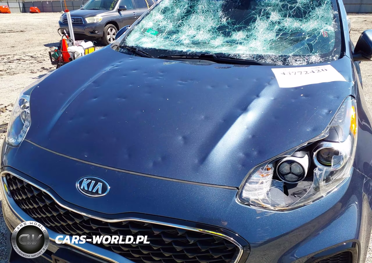 2020 Kia Sportage Lx VIN:KNDPM3AC4L7799192 - 19
