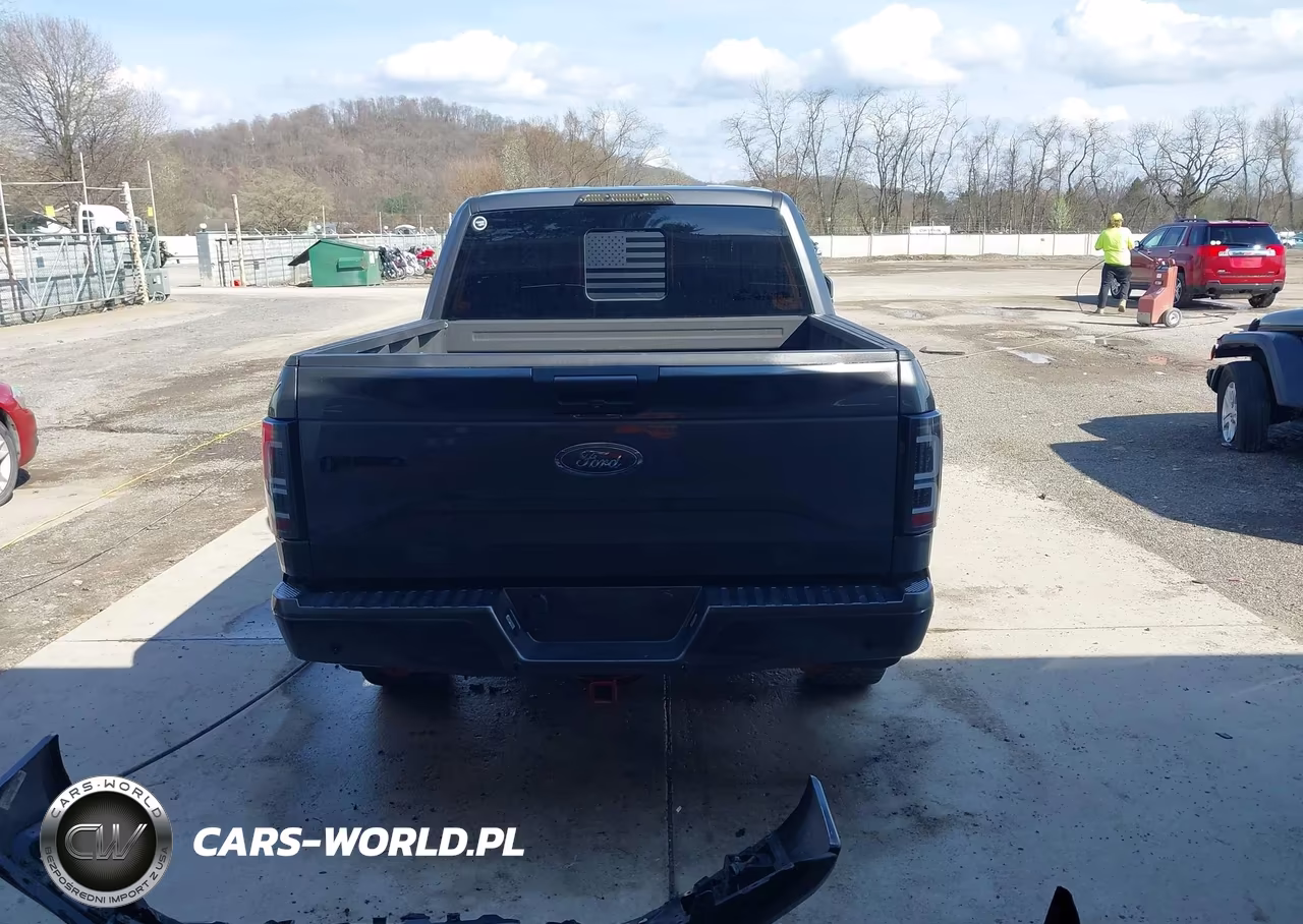 2015 Ford F-150 Xlt VIN:1FTEW1EG8FKF14336 - 17