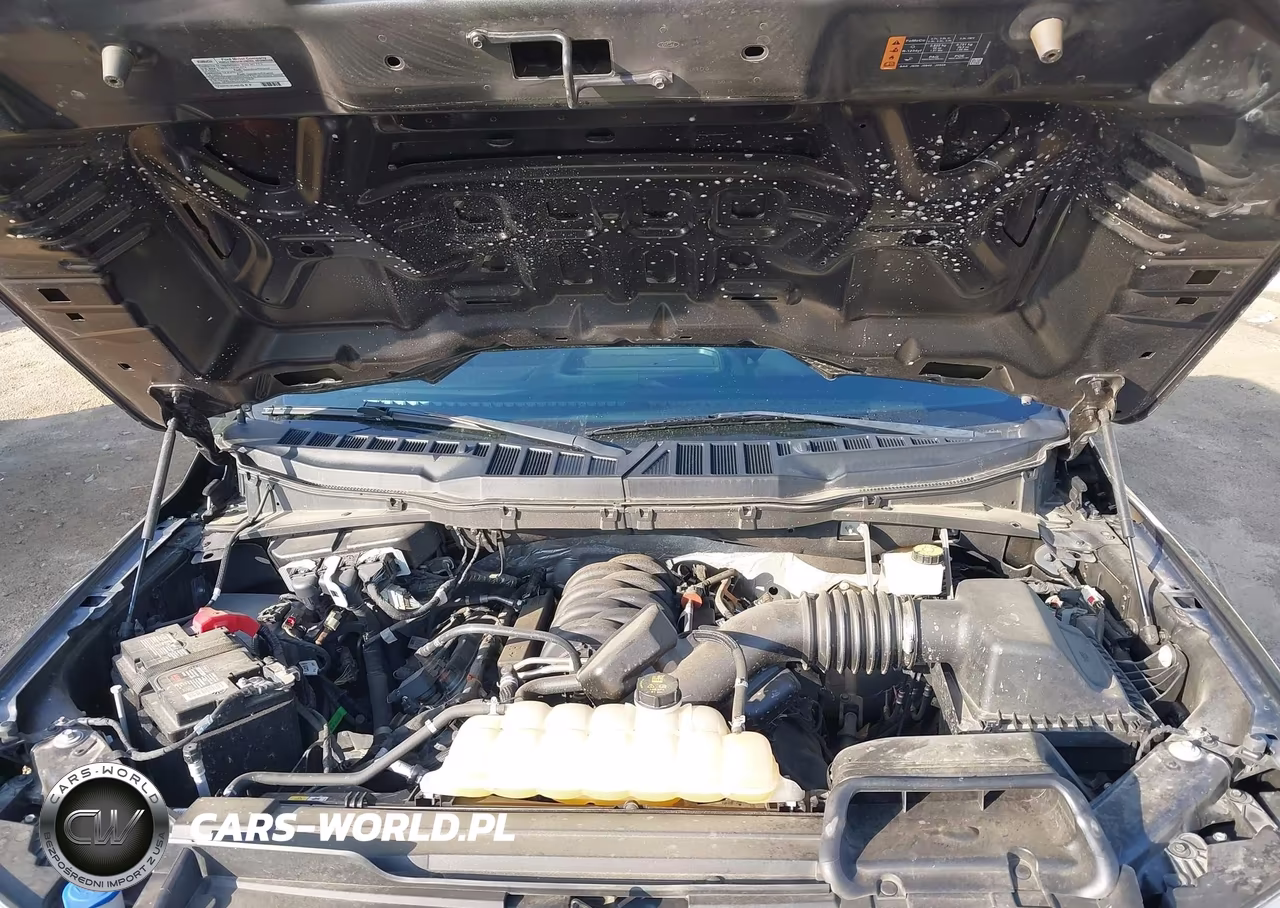 2022 Ford F-150 Xl VIN:1FTFW1E57NKF02678 - 10