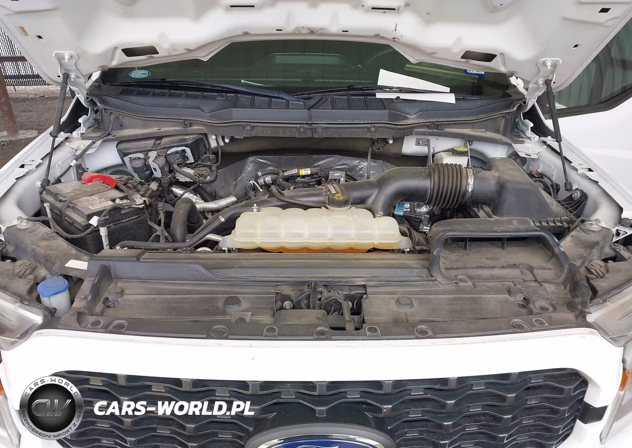 2022 Ford F-150 Xl VIN:1FTEW1CP5NKE24191 - 10