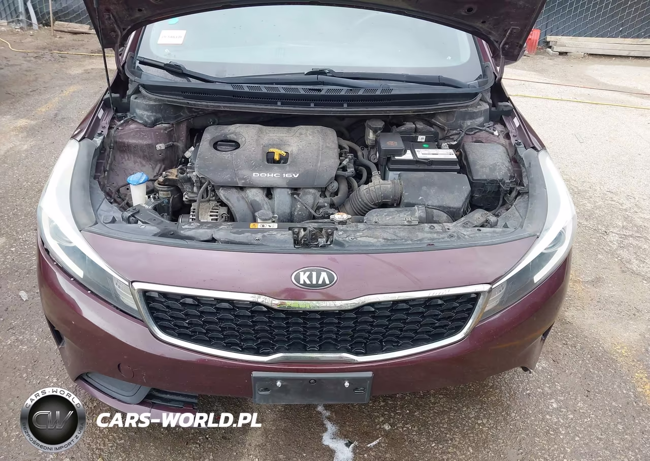 2017 Kia Forte Lx VIN:3KPFK4A79HE028132 - 10