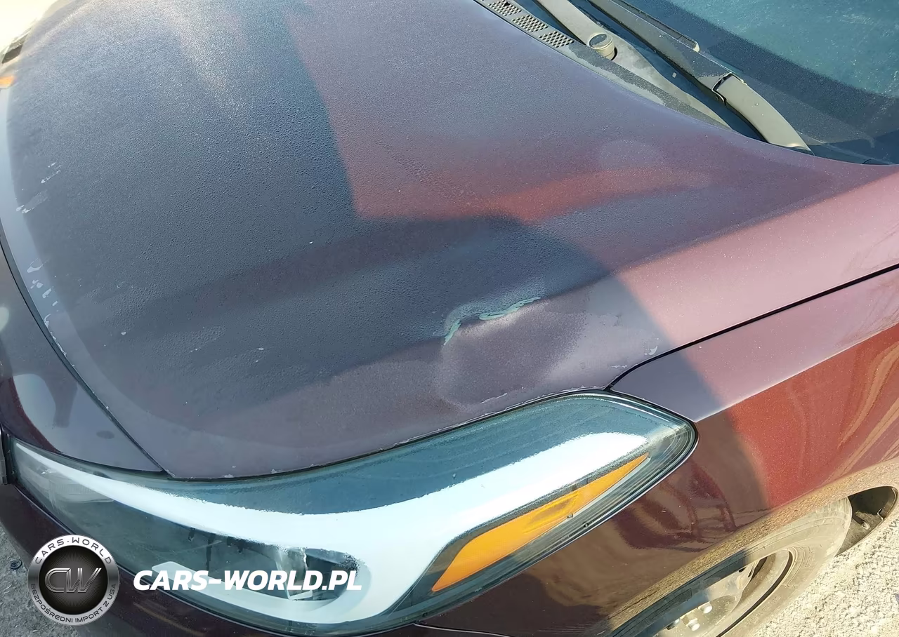 2017 Kia Forte Lx VIN:3KPFK4A79HE028132 - 20