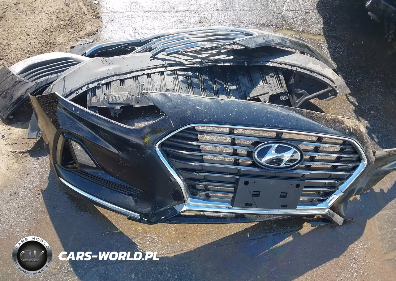 2019 Hyundai Sonata Se VIN:5NPE24AF7KH819278 - 12