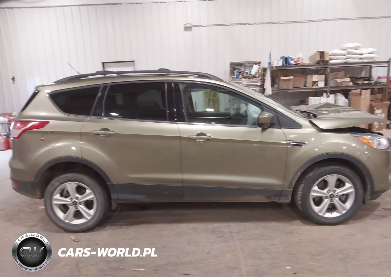 2013 Ford Escape Se VIN:1FMCU9G91DUB13573 - 14
