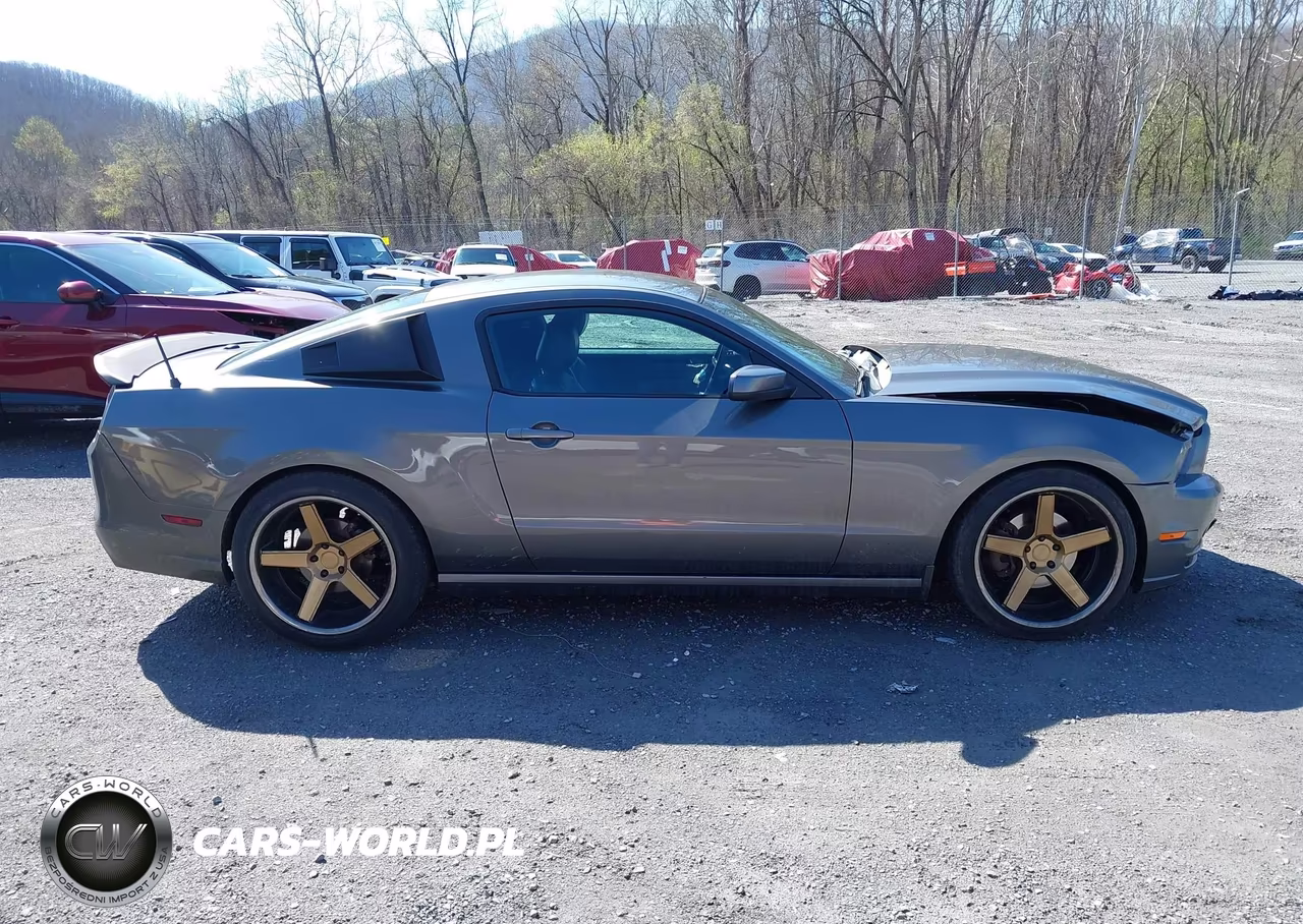 2014 Ford Mustang V6 Premium VIN:1ZVBP8AM0E5277372 - 13