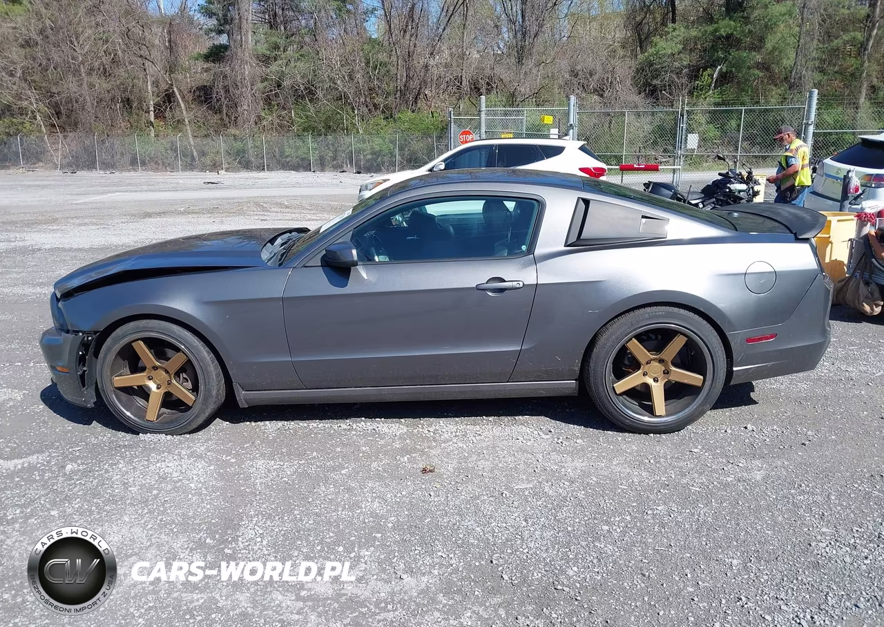 2014 Ford Mustang V6 Premium VIN:1ZVBP8AM0E5277372 - 14