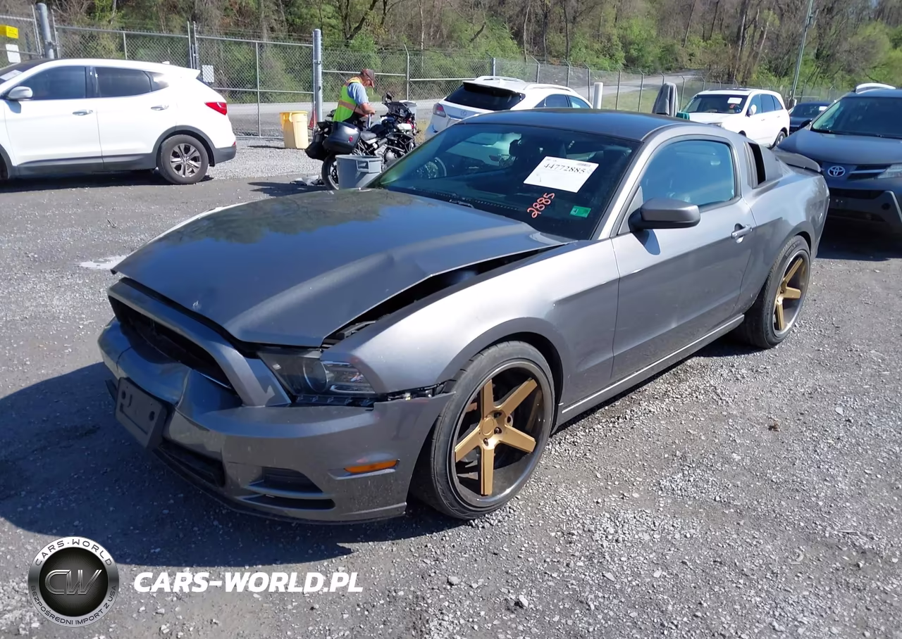 2014 Ford Mustang V6 Premium VIN:1ZVBP8AM0E5277372 - 2