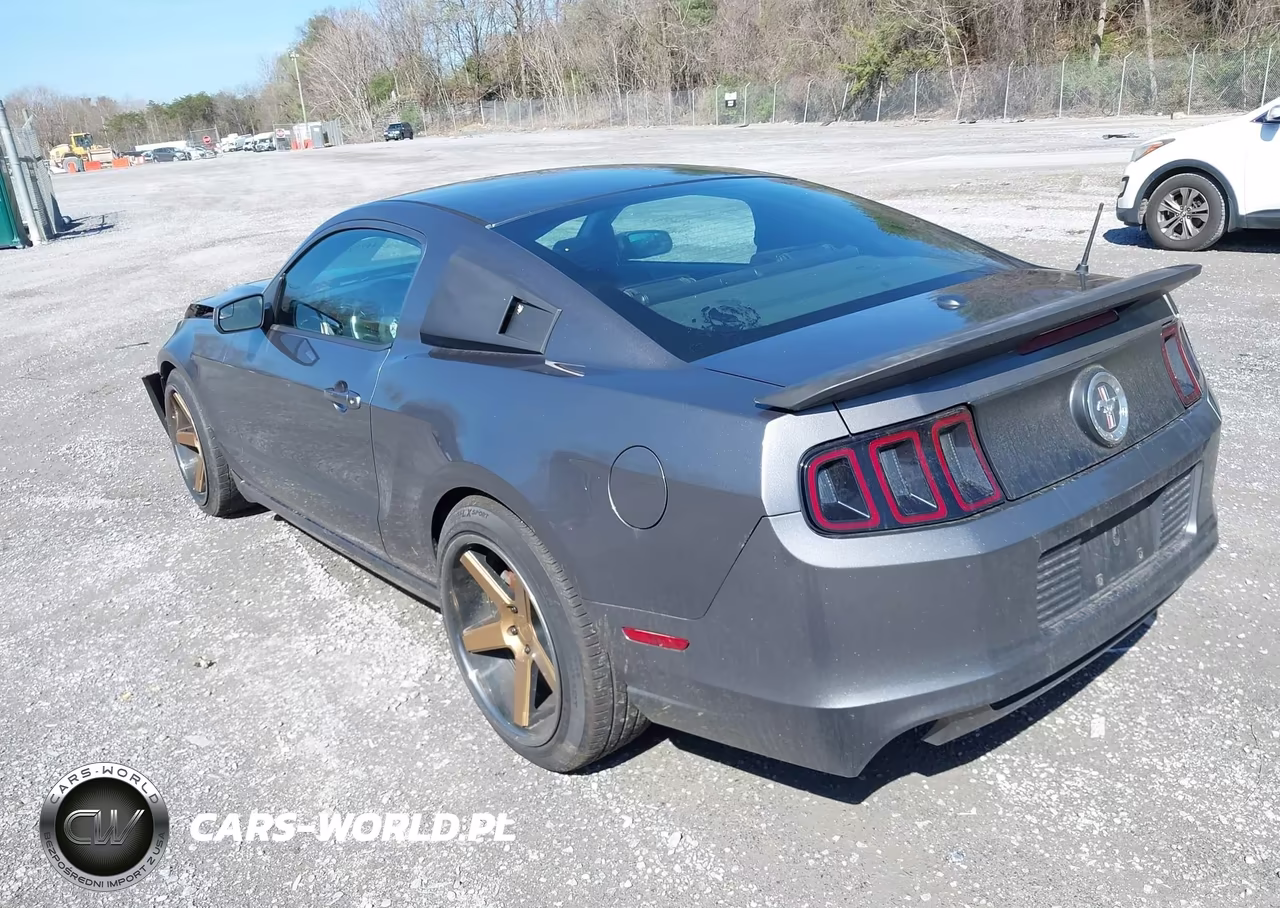 2014 Ford Mustang V6 Premium VIN:1ZVBP8AM0E5277372 - 3