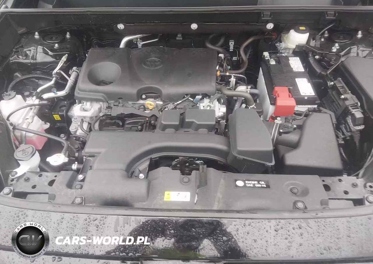 2025 Toyota Rav4 Xle VIN:2T3P1RFV3SC574949 - 10