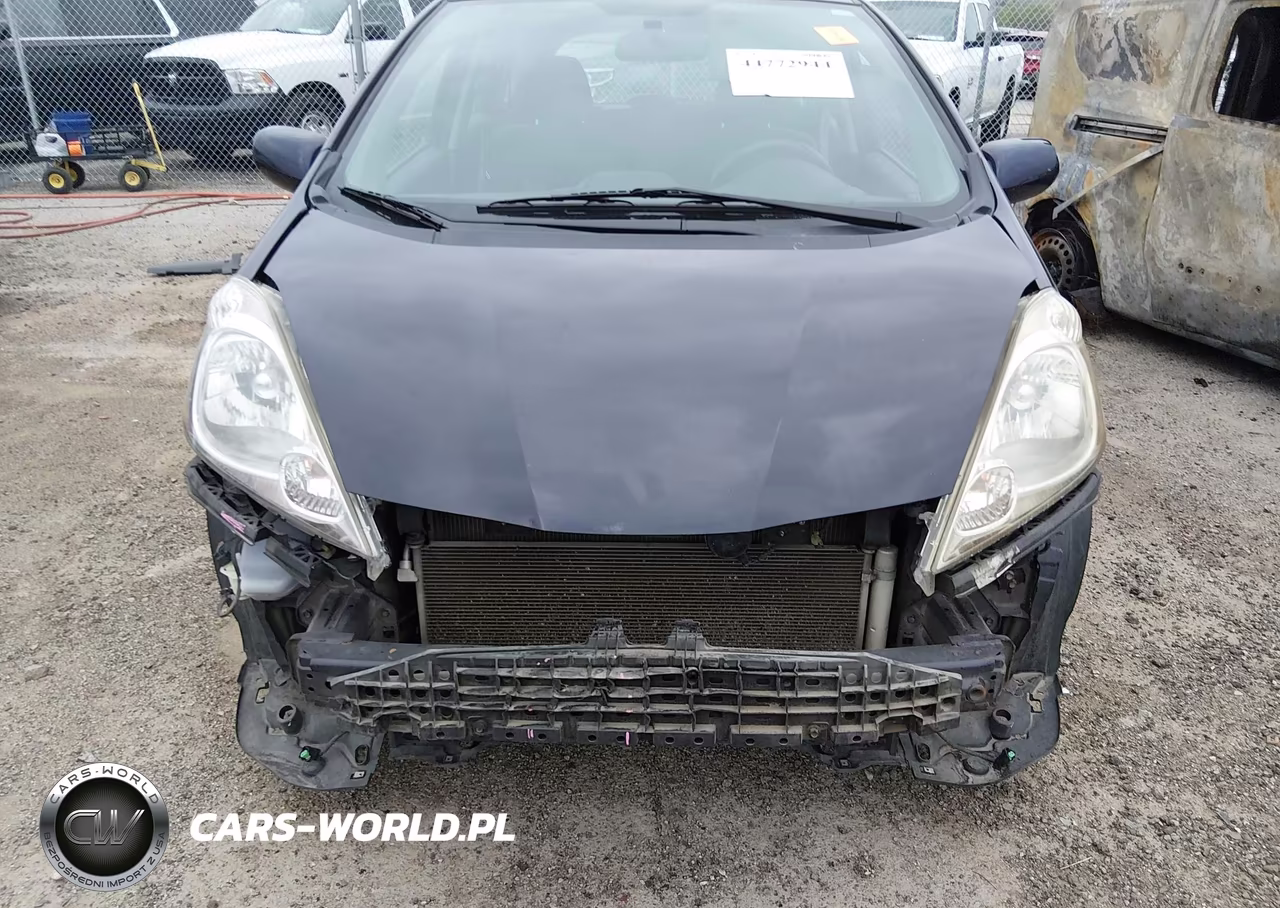 2010 Honda Fit Sport VIN:JHMGE8H47AC009010 - 12
