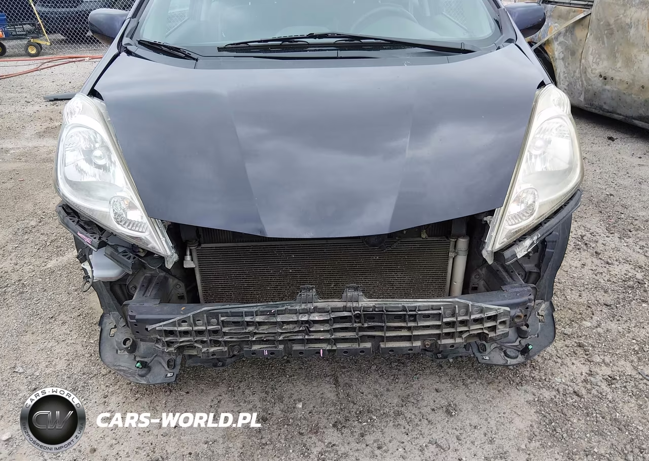 2010 Honda Fit Sport VIN:JHMGE8H47AC009010 - 6