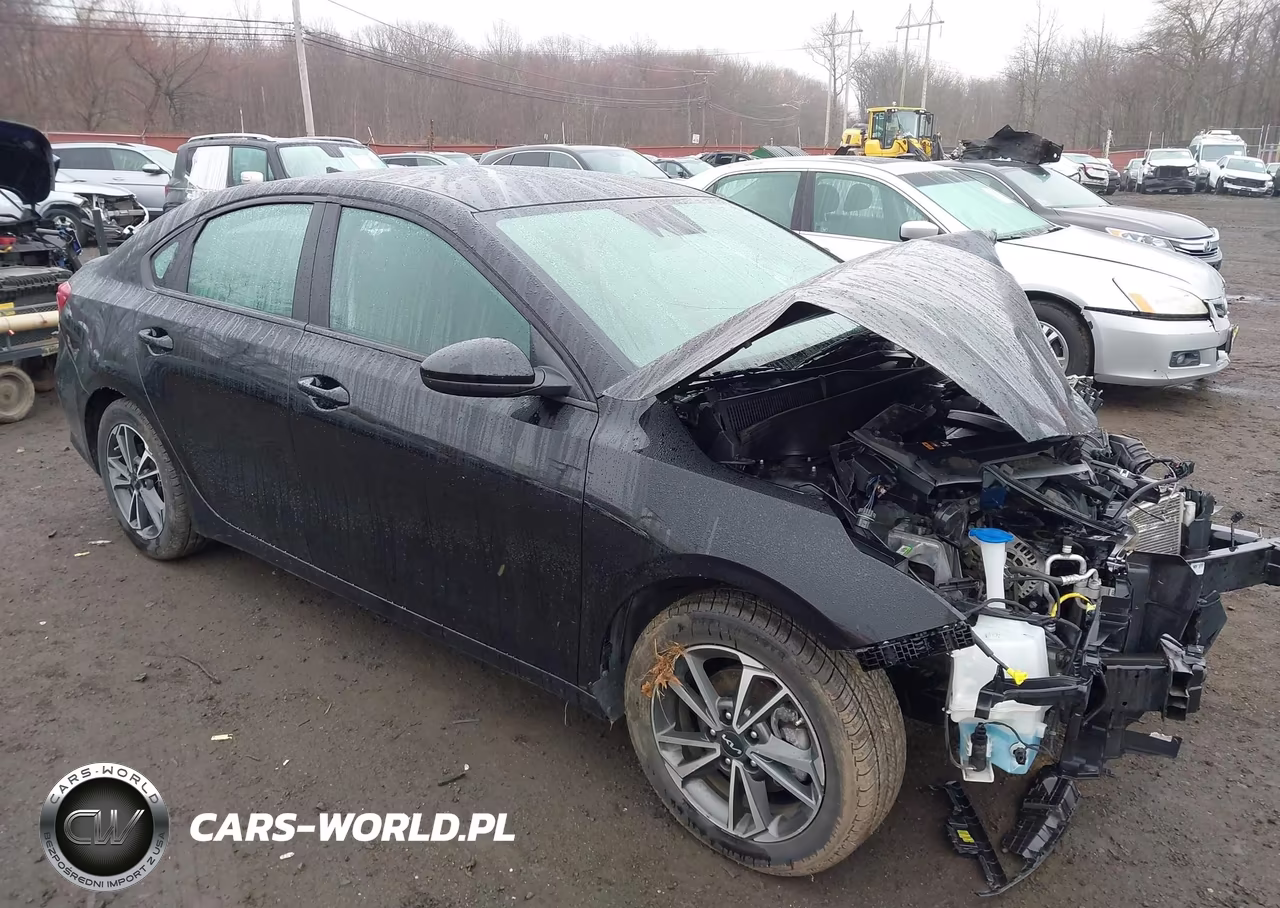 2022 Kia Forte Lxs VIN:3KPF24AD0NE446323 - 17