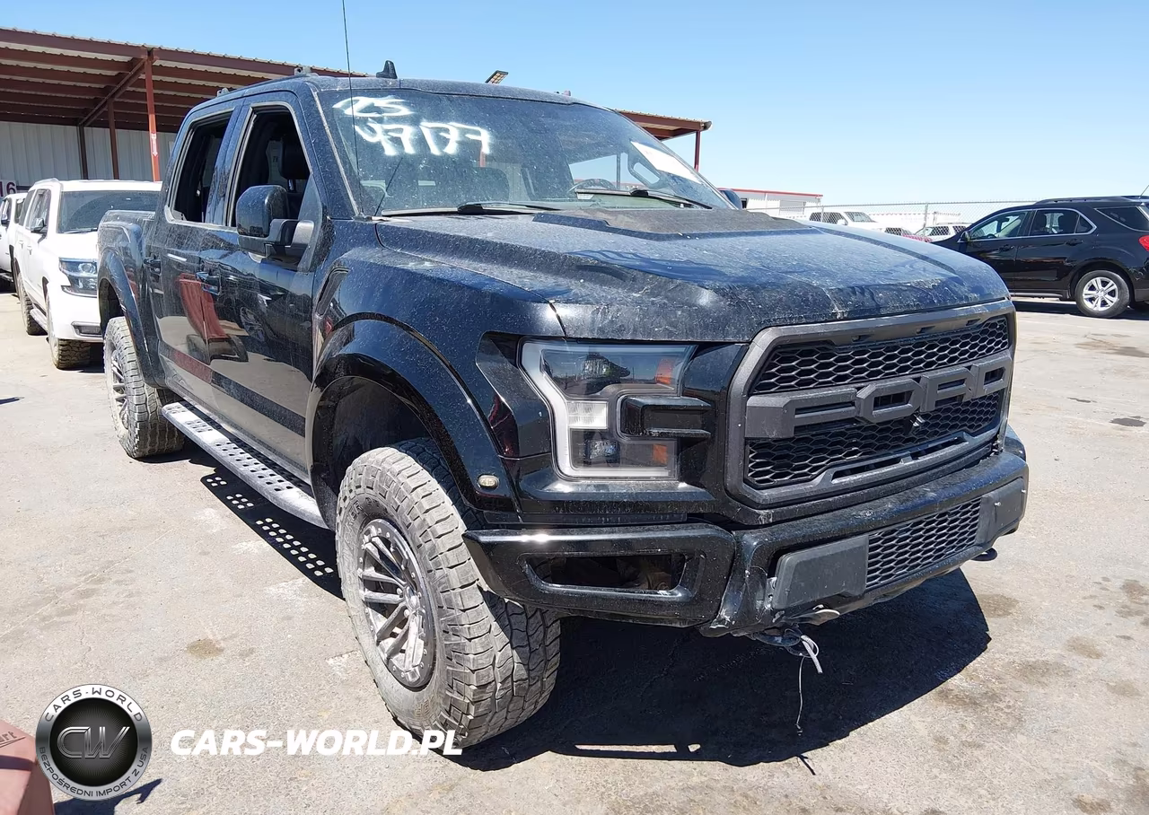 2019 Ford F-150 Raptor – zdjęcie 1 z 19