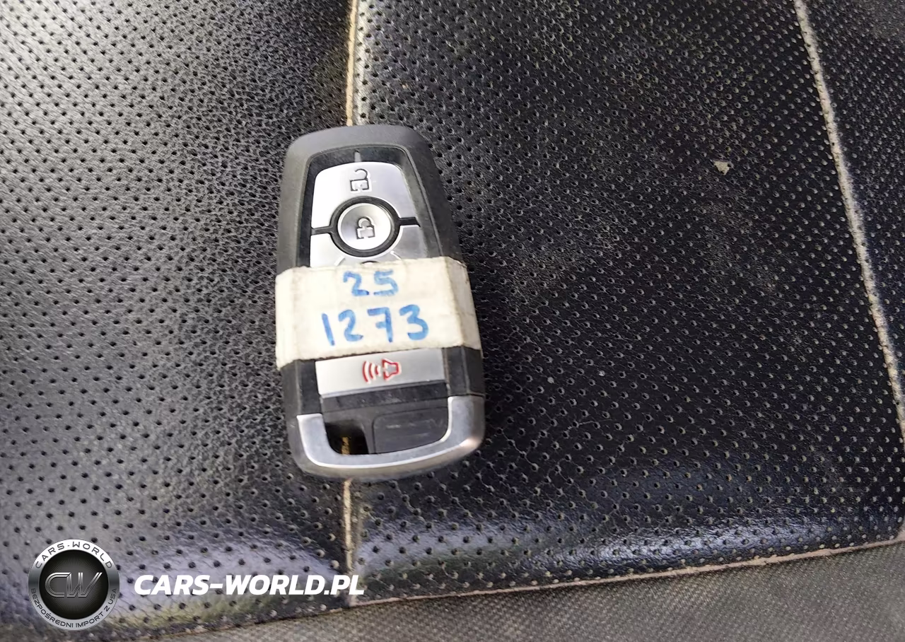 2019 Ford F-150 Raptor VIN:1FTFW1RG3KFB03444 - 11
