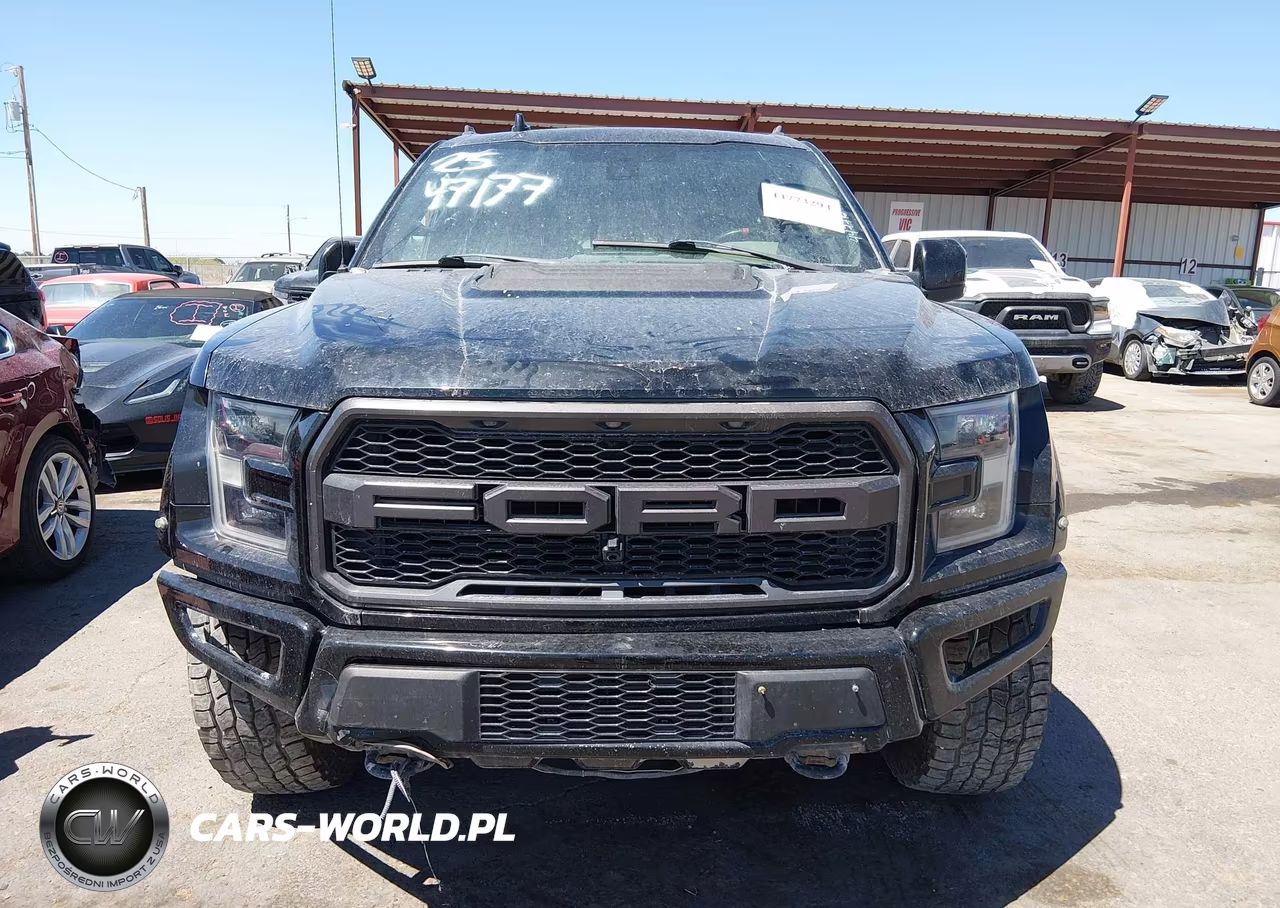2019 Ford F-150 Raptor VIN:1FTFW1RG3KFB03444 - 12