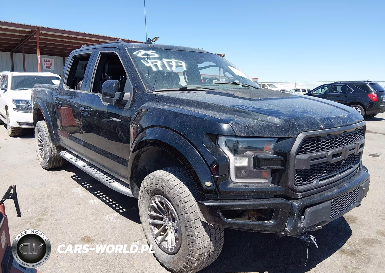 2019 Ford F-150 Raptor VIN:1FTFW1RG3KFB03444 - 13