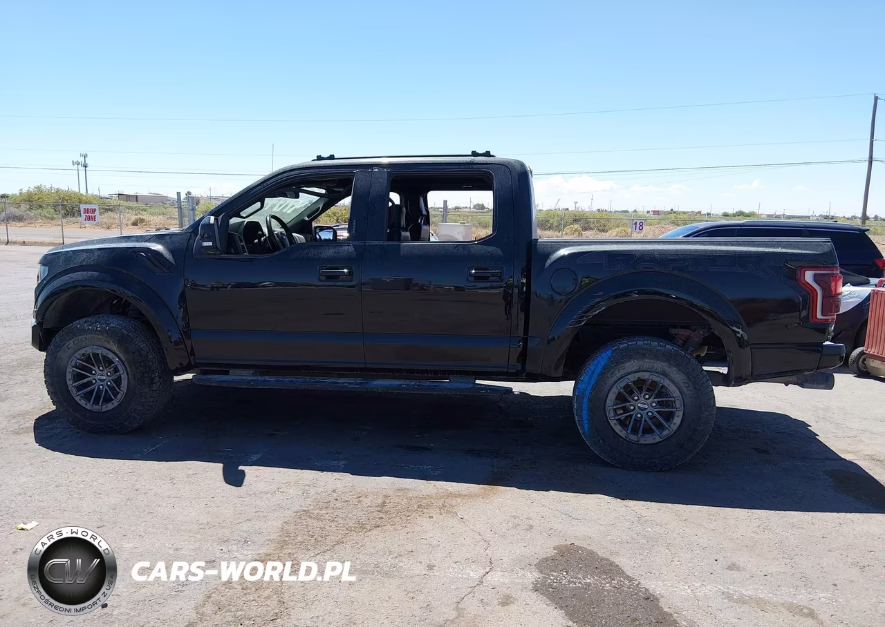 2019 Ford F-150 Raptor VIN:1FTFW1RG3KFB03444 - 14